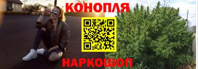 стаф Будённовск