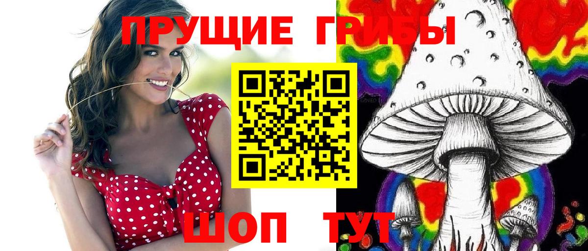 Псилоцибиновые грибы Psilocybe Североморск
